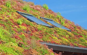 Gorse Covert living roof systems